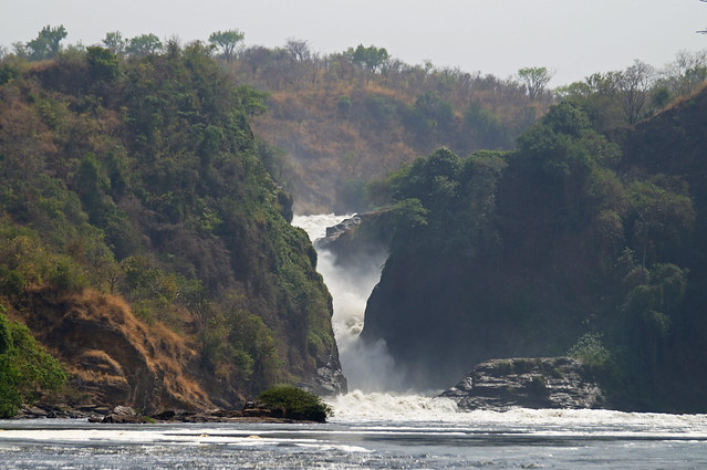 murchison falls safari